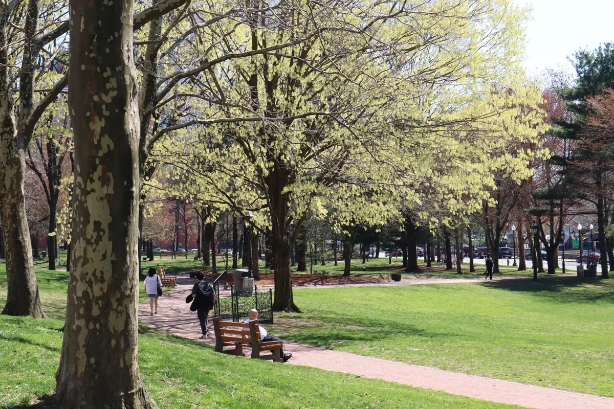 Providence Puts a Songwriting Workshop on the Lunch Menu
